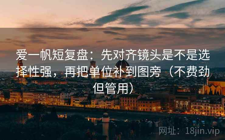 爱一帆短复盘：先对齐镜头是不是选择性强，再把单位补到图旁（不费劲但管用）