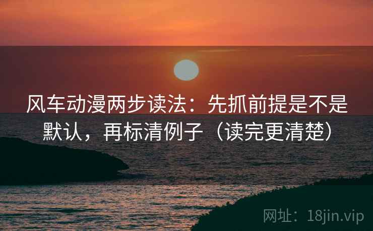 风车动漫两步读法：先抓前提是不是默认，再标清例子（读完更清楚）